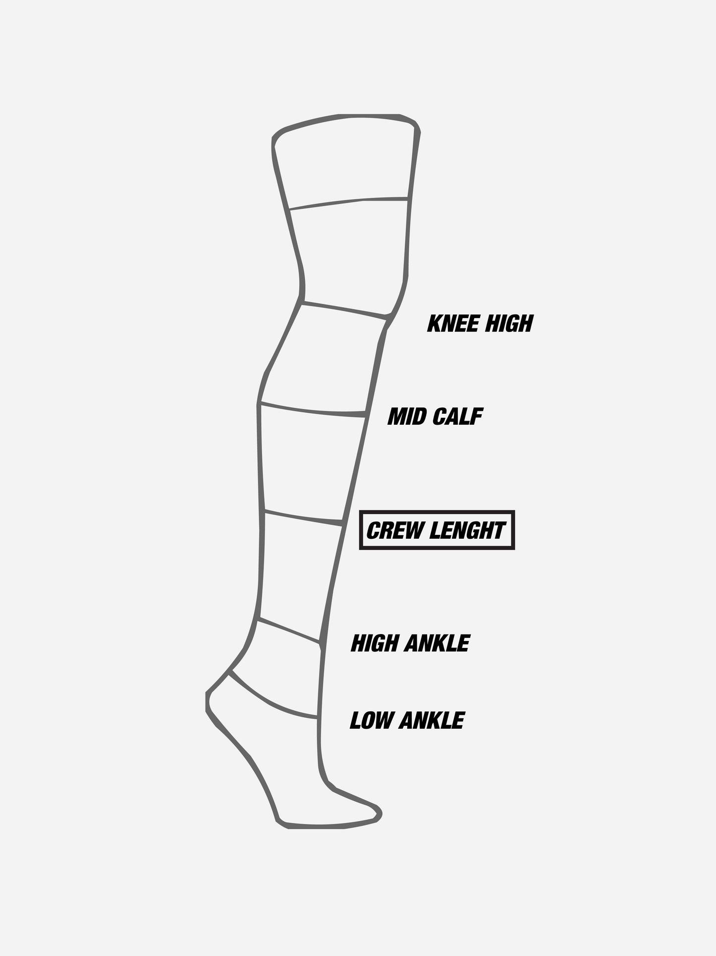 EVERYDAY SOCKS CREW LENGTH